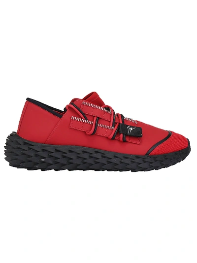 Shop Giuseppe Zanotti Sneakers In Red