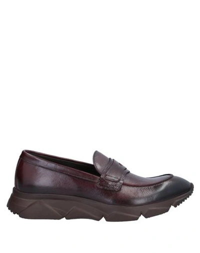 Shop Raparo Loafers In Maroon