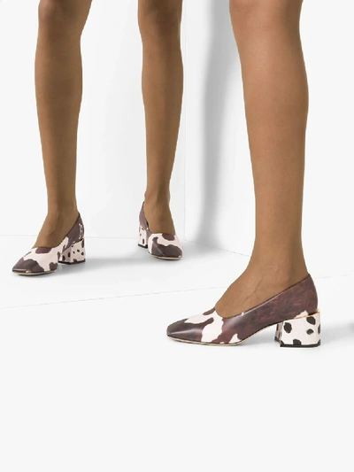 Shop Burberry White And Brown Margrette 50 Cow Print Leather Pumps