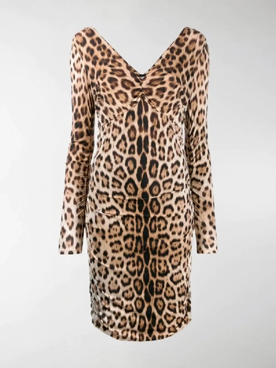 Shop Roberto Cavalli Leopard Print Dress In Brown