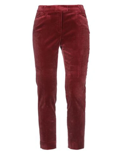 Shop Argonne Casual Pants In Maroon