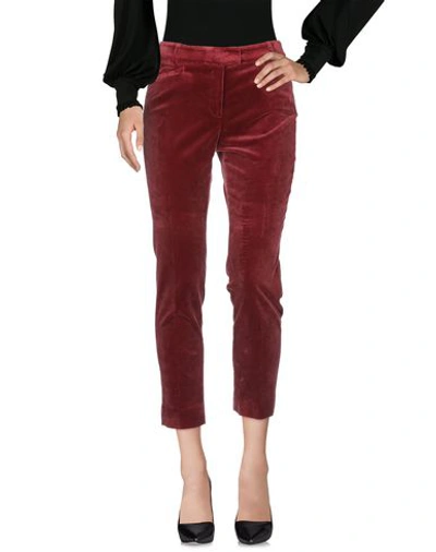 Shop Argonne Casual Pants In Maroon