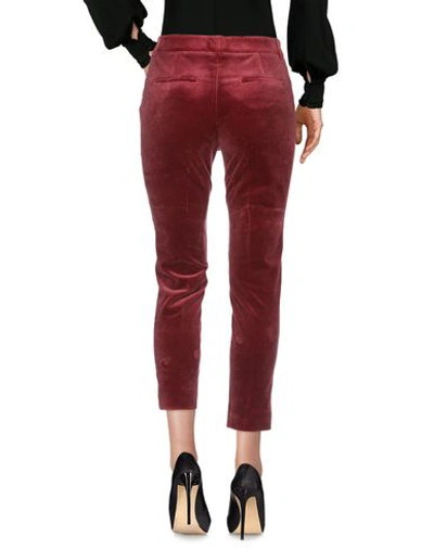 Shop Argonne Casual Pants In Maroon