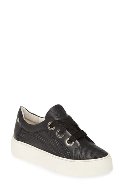 Shop Agl Attilio Giusti Leombruni Perforated Platform Sneaker In White Leather