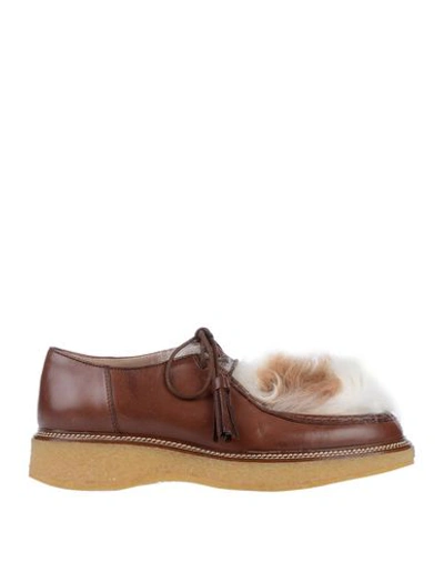 Tod's Lace-up Shoes In Cocoa