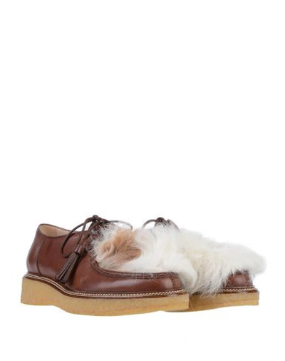 Tod's Lace-up Shoes In Cocoa
