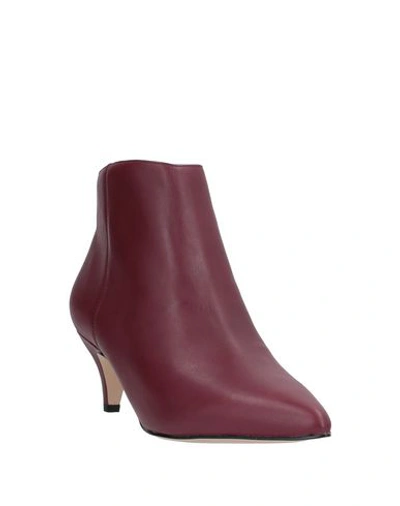 Shop Sam Edelman Ankle Boots In Maroon