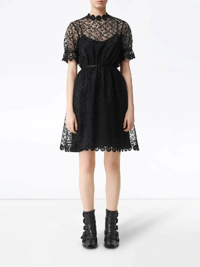 Shop Burberry Floral Embroidered Tulle Dress