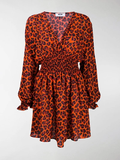 Shop Msgm Leopard Print Mini Dress In Orange