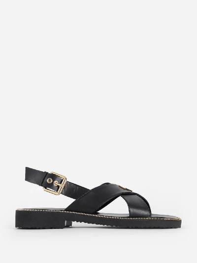 Shop Giuseppe Zanotti Sandals In Black