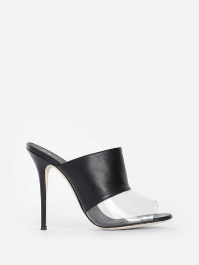 Shop Giuseppe Zanotti Sandals In Black