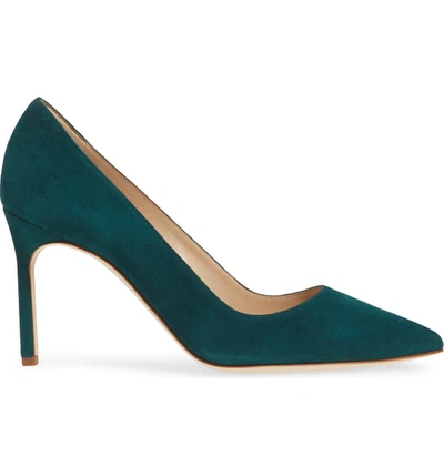 Shop Manolo Blahnik Bb Pointy Toe Pump In Pan Green Suede