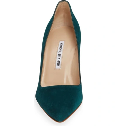 Shop Manolo Blahnik Bb Pointy Toe Pump In Pan Green Suede