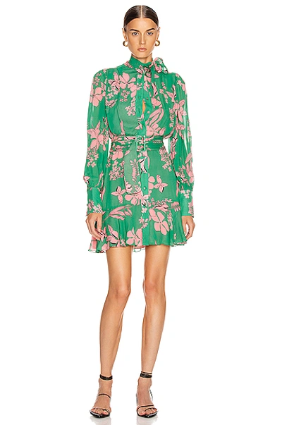 Shop Alexis Tisdale Dress In Green,floral,pink In Island Floral