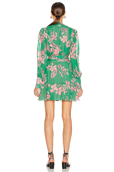 Shop Alexis Tisdale Dress In Green,floral,pink In Island Floral