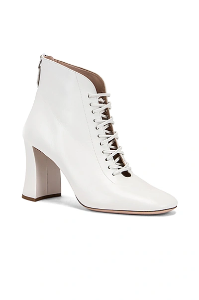 Shop Miu Miu Lace Up Ankle Boots In White
