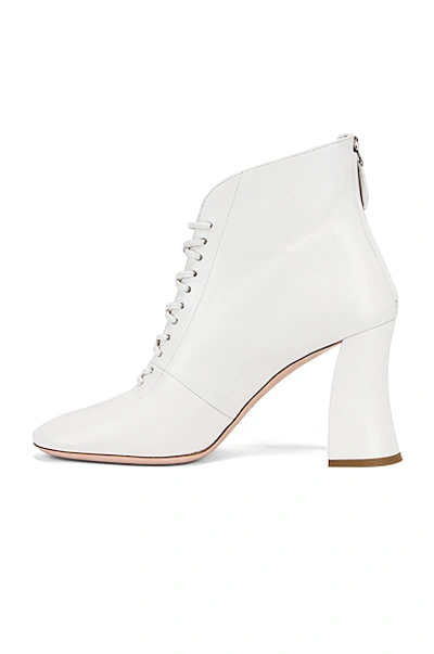 Shop Miu Miu Lace Up Ankle Boots In White