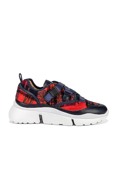 Shop Chloé Sonnie Sneakers In Blue & Red