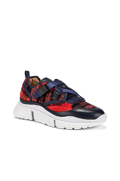 Shop Chloé Sonnie Sneakers In Blue & Red