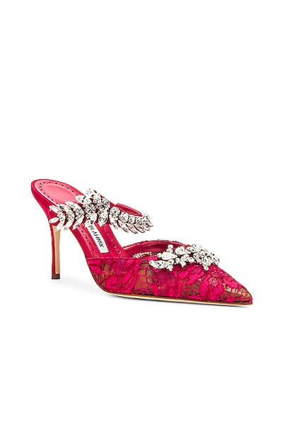 Shop Manolo Blahnik Lurum 90 Mule