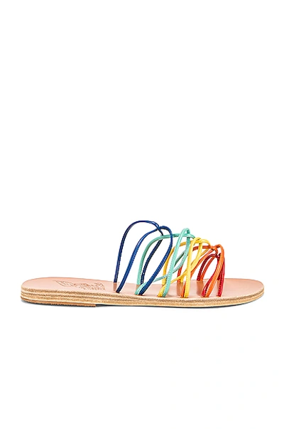 Shop Ancient Greek Sandals Rodopi Sandals In Multi Bright