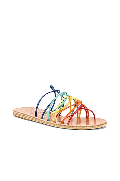 Shop Ancient Greek Sandals Rodopi Sandals In Multi Bright