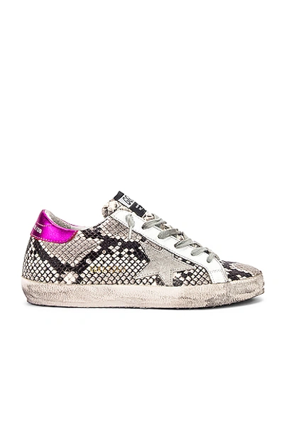 Shop Golden Goose Superstar Sneaker In Animal Print,gray,pink In Natural Snake Print & Ice Star