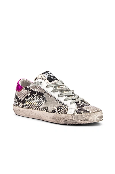Shop Golden Goose Superstar Sneaker In Animal Print,gray,pink In Natural Snake Print & Ice Star