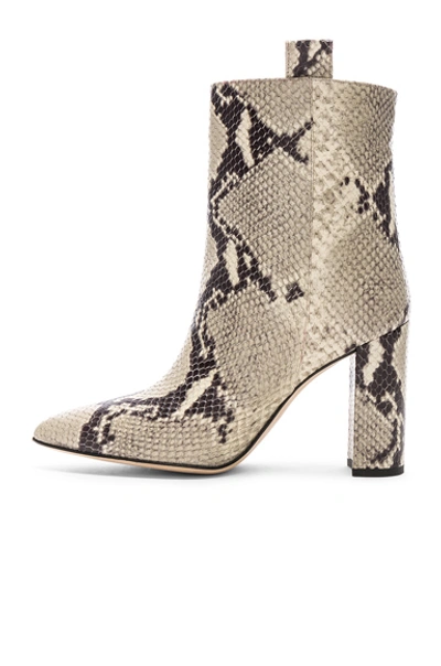 Shop Paris Texas Snake Print Ankle Boot In Natural