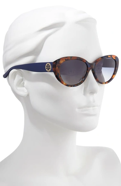 Shop Tory Burch 56mm Gradient Cat Eye Sunglasses In Amber Tortoise/ Blue Gradient