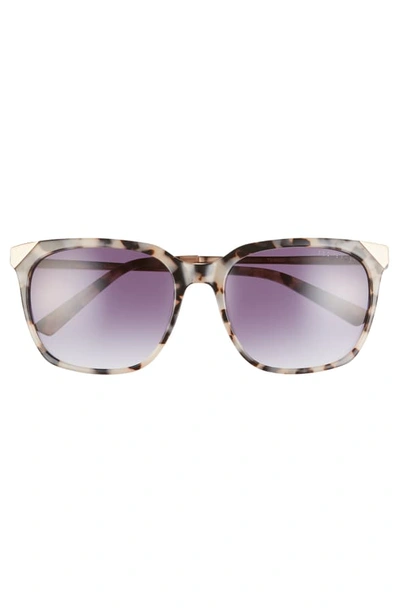 Shop Ted Baker 55mm Square Sunglasses - Ivory Havana/ Blue