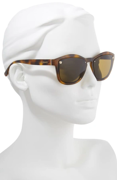 Shop Versace Medusa 57mm Square Sunglasses In Havana Solid