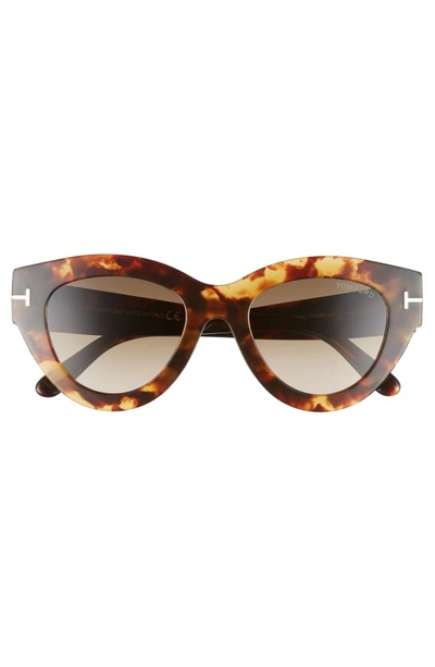 Shop Tom Ford Slater 51mm Cat Eye Sunglasses In Havana/ Gradient Roviex