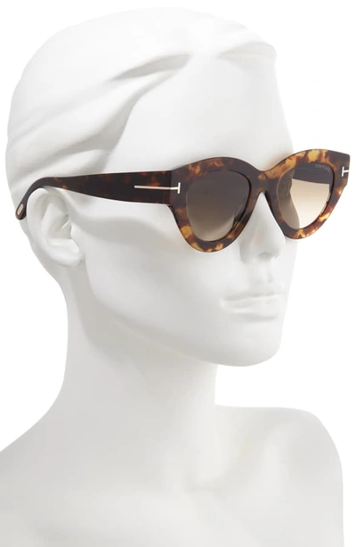 Shop Tom Ford Slater 51mm Cat Eye Sunglasses In Havana/ Gradient Roviex