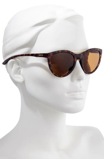 Shop Smith Midtown 53mm Chromopop(tm) Polarized Cat Eye Sunglasses In Dark Tortoise/ Brown
