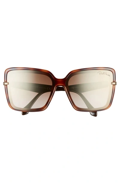 Shop Roberto Cavalli 62mm Oversize Flat Front Butterfly Sunglasses In Dark Havana/ Brown Mirror