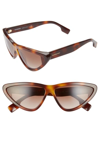 Shop Burberry 65mm Oversize Cat Eye Sunglasses In Light Havana/ Brown Gradient