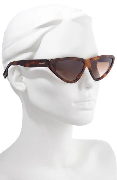 Shop Burberry 65mm Oversize Cat Eye Sunglasses In Light Havana/ Brown Gradient