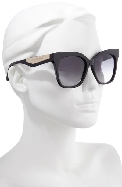 Shop Roberto Cavalli 57mm Cat Eye Sunglasses In Shiny Black/ Gradient Smoke