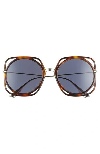 Shop Dior Directions 56mm Square Sunglasses - Havana/ Gold