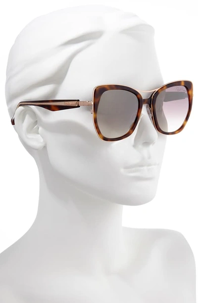 Shop Roberto Cavalli 55mm Gradient Cat Eye Sunglasses In Havana/ Gold/ Brown Mirror