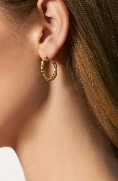 Shop John Hardy Classic Chain Small Hoop Earrings In Gold