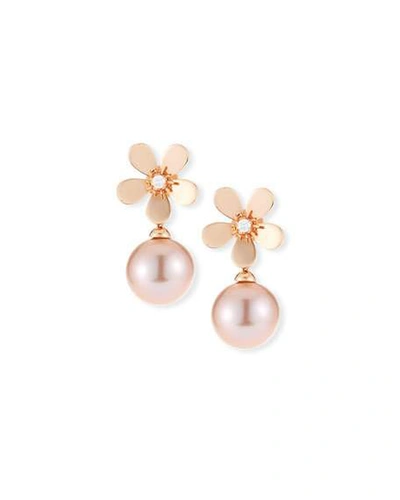 Shop Belpearl 18k Diamond Daisy Pearl Drop Earrings, Rose Gold