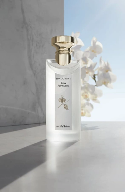 Shop Bvlgari 'eau Parfumee Au The Blanc' Eau De Cologne Spray