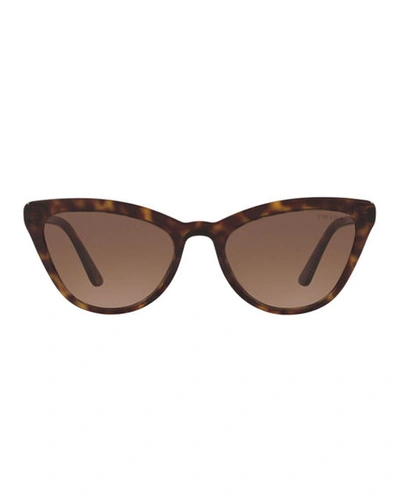 Prada Tortoiseshell Cat Eye Sunglasses In . | ModeSens
