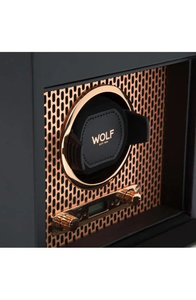 Shop Wolf Axis Single Watch Winder & Case - Black In Copper