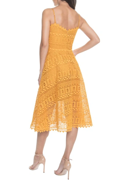 Shop Dress The Population Brenna Lace Mix Dress In Honey