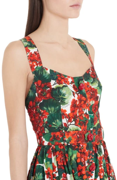 Shop Dolce & Gabbana Geranium Print Midi Dress In Red