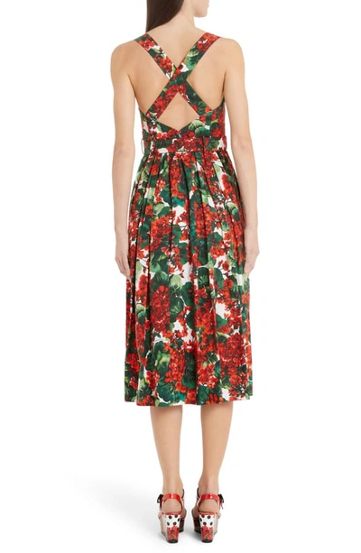 Shop Dolce & Gabbana Geranium Print Midi Dress In Red