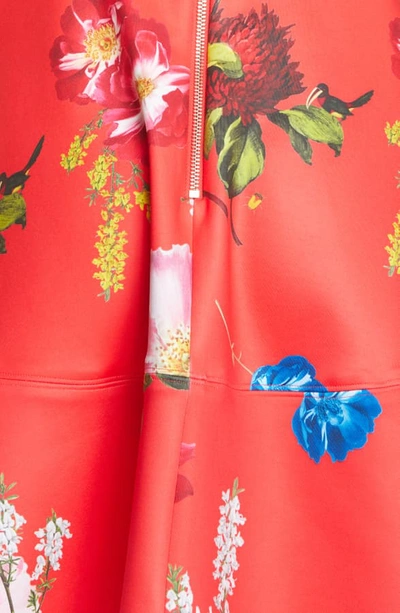 Shop Ted Baker Kinle Floral Skater Dress In Red